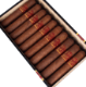 Buy IGM 537 Gorditos:  