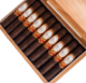 Buy Patina Oro de Nicaragua Robusto Online