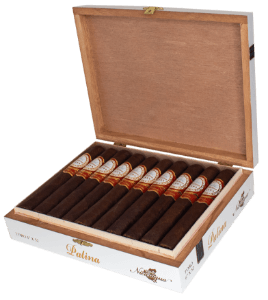 Buy Patina Oro de Nicaragua Toro Online