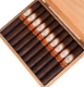 Buy Patina Oro de Nicaragua Toro Extra Online