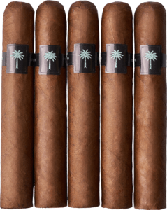 Buy Warped Royal Palms Online: 