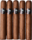 Buy Warped Royal Palms Online: 