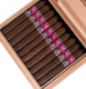 Buy Aksum Claro Corona Gorda by Foundation Cigars Online: 