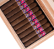 Buy Aksum Claro Robusto by Foundation Cigars Online: 
