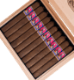Buy Aksum Claro Toro by Foundation Cigars Online: 