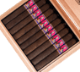 Buy Aksum Maduro Corona Gorda by Foundation Cigars Online: 