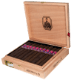 Buy Aksum Maduro Toro by Foundation Cigars Online: 