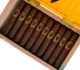 Buy Smoking Jacket Mini Henkie Online:  