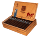 Buy Casdagli Cypher 3311 Boniface Online: 