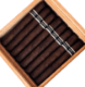 Buy 2024 CroMagnon Anthropology Online at Small Batch