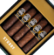 Buy Punch Knuckle Buster Maduro Stubby Online: