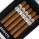 Buy Punch Knuckle Buster Shade Robusto Online: