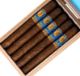 Buy Tiago Clásico Sumatra by Luciano Online: .