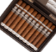 Buy Plasencia Alma del Campo Madroño Cigars Online: