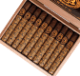 Buy Asylum 867 Auntie Corona (5 x 44) Online: