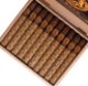 Buy Asylum 867 Auntie Corona Gorda (5 3/4 x 46) Online: