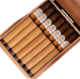 Buy La Aurora 120 Anniversary Churchill Online: 