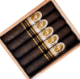 Buy Cazadores Maduro Robusto by La Aurora Online: