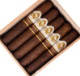 Buy Cazadores Nicaragua Gordo by La Aurora Online: