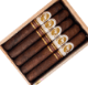 Buy Cazadores Nicaragua Toro by La Aurora Online:
