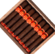 Buy CAO FASA Sol Gigante Online: