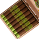 Buy My Father Vegas Cubanas Invictos Online: