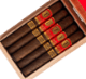 Buy Tiago Familia Elegida Habano Corona Gorda by Luciano Online: 