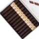 Buy Jake Wyatt J.W. Maverick Toro Online :