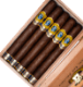 Buy Falto Los Procesos Eminente Online: