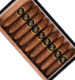 Buy Black Star Line Dark War Witch Pig Online: Dark War Watch is the full-bodied and full throttle experience requested by consumers!