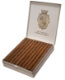 Buy Patoro Dominican Mini Online: