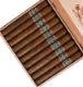 Buy Foundation Cigars The Wise Man Corojo Doble Corona Online :