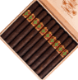 Buy Foundation Cigars The Wise Man Maduro Doble Corona Online :
