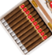 Buy HVC Selección No.1 Connecticut Esenciales Online at Small Batch Cigar