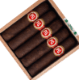 Buy PG Gourmet Series Maduro Torito Online