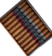 Buy Chillin' Moose Toro by Forged Cigar Company  Online: