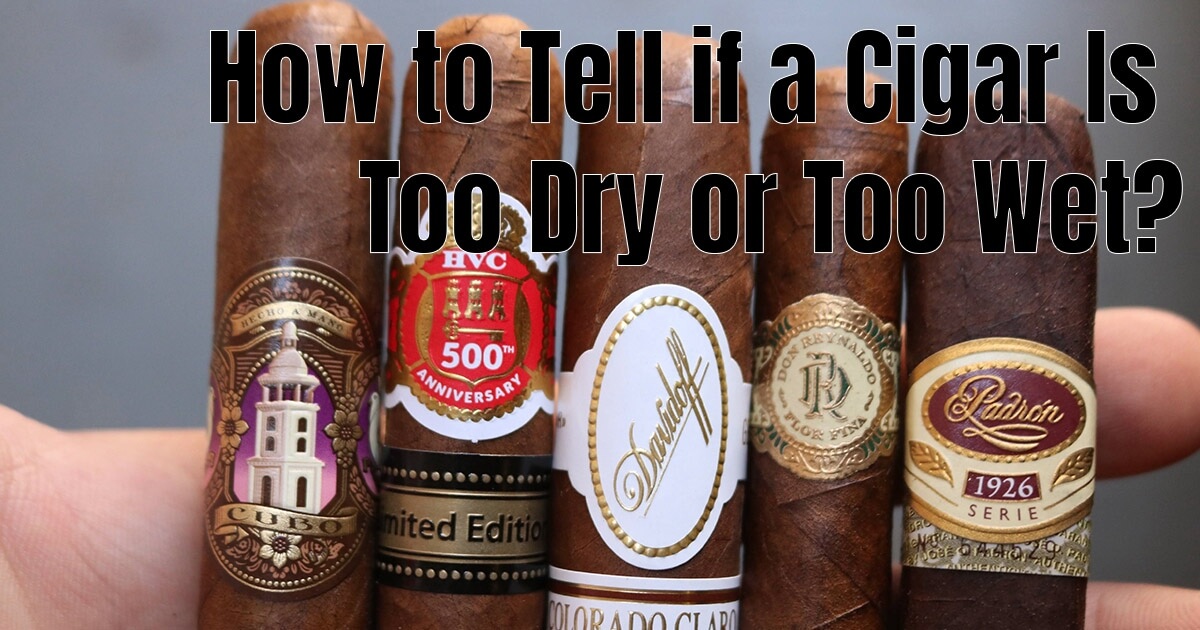 How to Tell if a Cigar Is Too Dry or Too Wet | Best Online Cigar ...