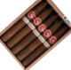 Buy PG Gourmet Series II Torpedo Online: