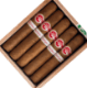 Buy PG Gourmet Series II Robusto Online:
