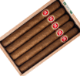 Buy PG Gourmet Series Churchill Online: