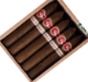 Buy PG Gourmet Series II Belicoso Fino Online at Small Batch Cigar