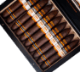 Buy Plasencia Cosecha 149 Cortez Cigars Online: