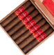 Buy La Aurora 107 Ecuador Gran Toro Online: 