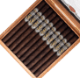 Buy West Tampa Tobacco Co Black Lancero  Online at Small Batch Cigar