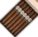 Buy Tatiana Delights Churchill Online at Small Batch Cigar