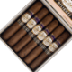 Buy Tatiana Delights Robusto Online at Small Batch Cigar