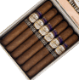 Buy Tatiana Delights Toro Online at Small Batch Cigar