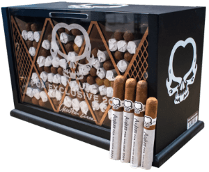 Buy Asylum PCA 2024 Online: