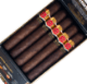 Buy Hoyo de Monterrey Oscuro Toro Online: 