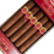 Buy Hoyo de Monterrey Rojo Gigante Online: 